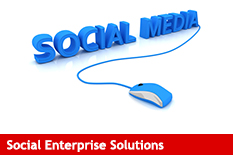 Salesforce Social Enterprise Solutions